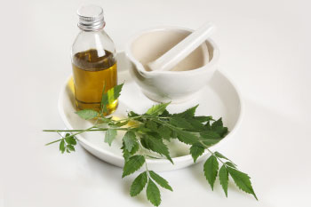 wonder leaf neem oil and leaves